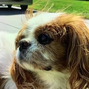 Meet your Posher, Kym